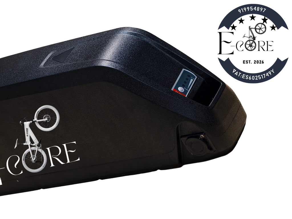 48V 30Ah Lithium Battery for Electric Bikes – Long Range High Capacity